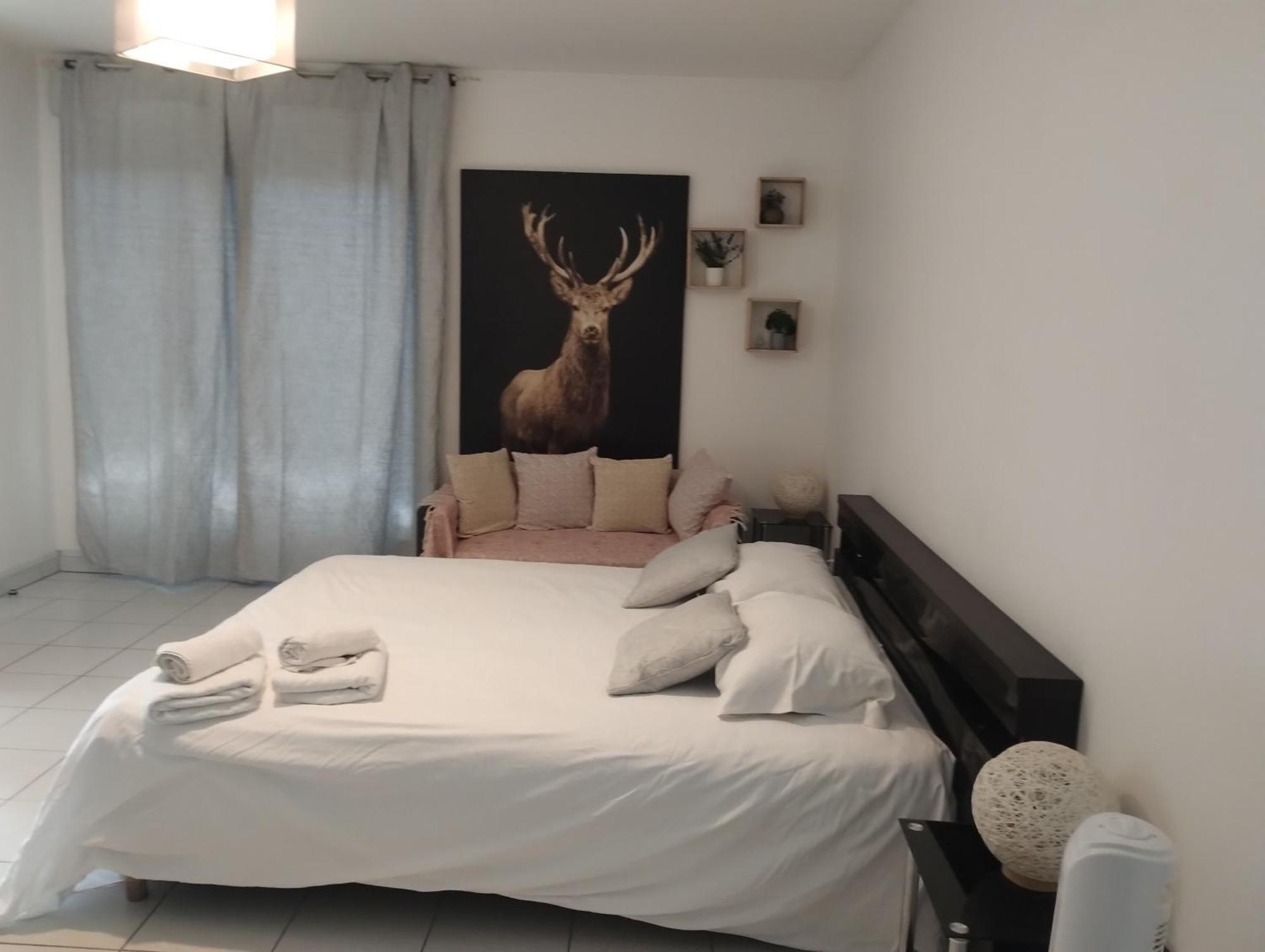 Chaleureux Studio Tuluza Zewnętrze zdjęcie
